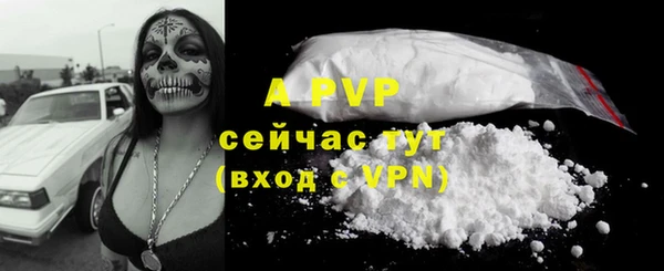 стафф Вяземский