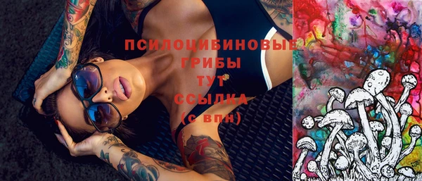 прущая мука Вязники