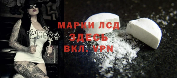 соль ск Снежногорск