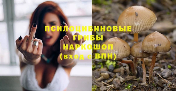 стафф Вяземский